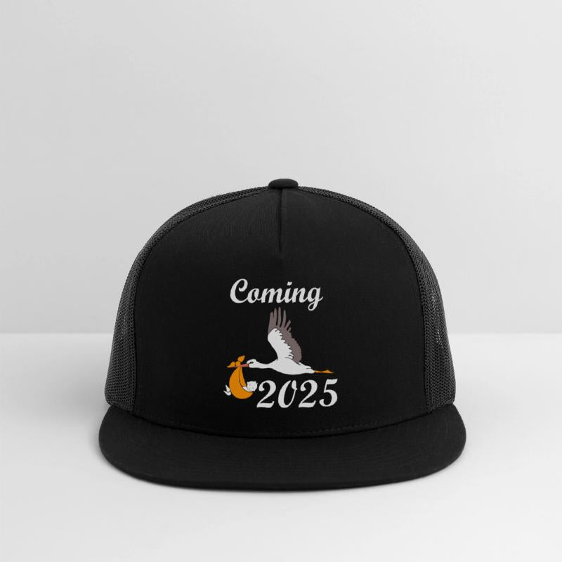 Baby Coming In 2025, Stork Brings The Baby In 2025