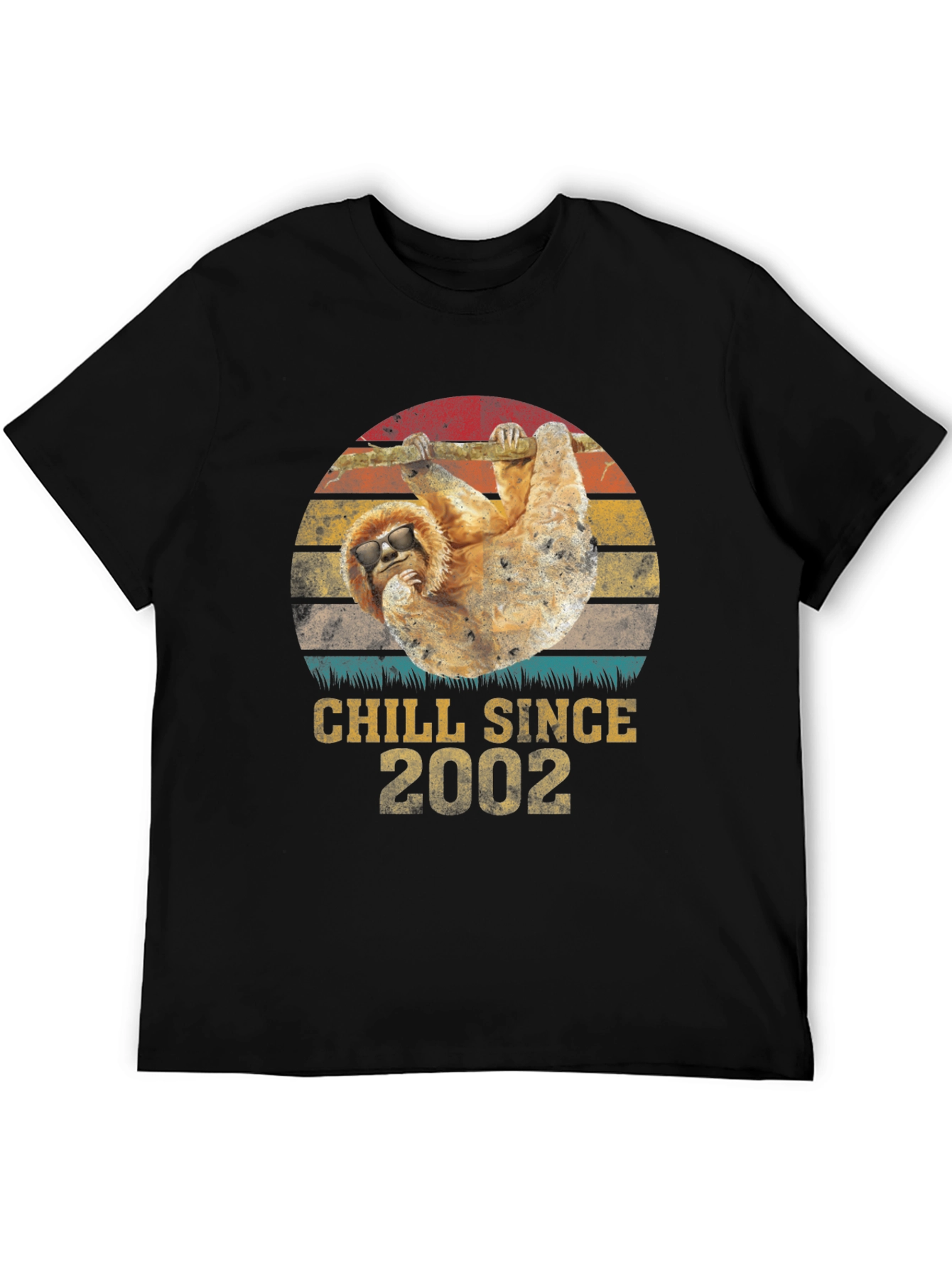 Chill Since 2002 Sloth T-Shirt