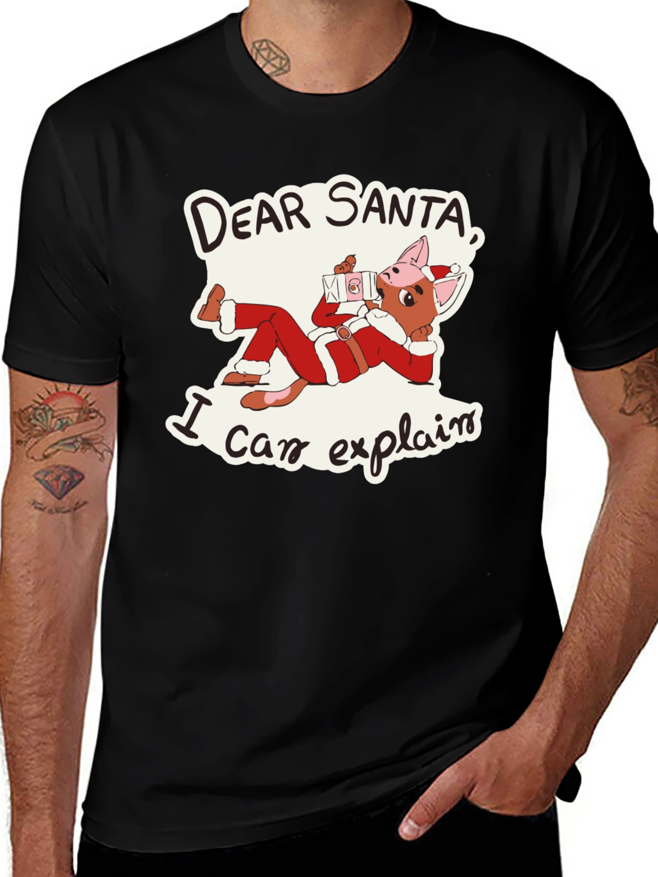 Dear Santa I Can Explain T-Shirt