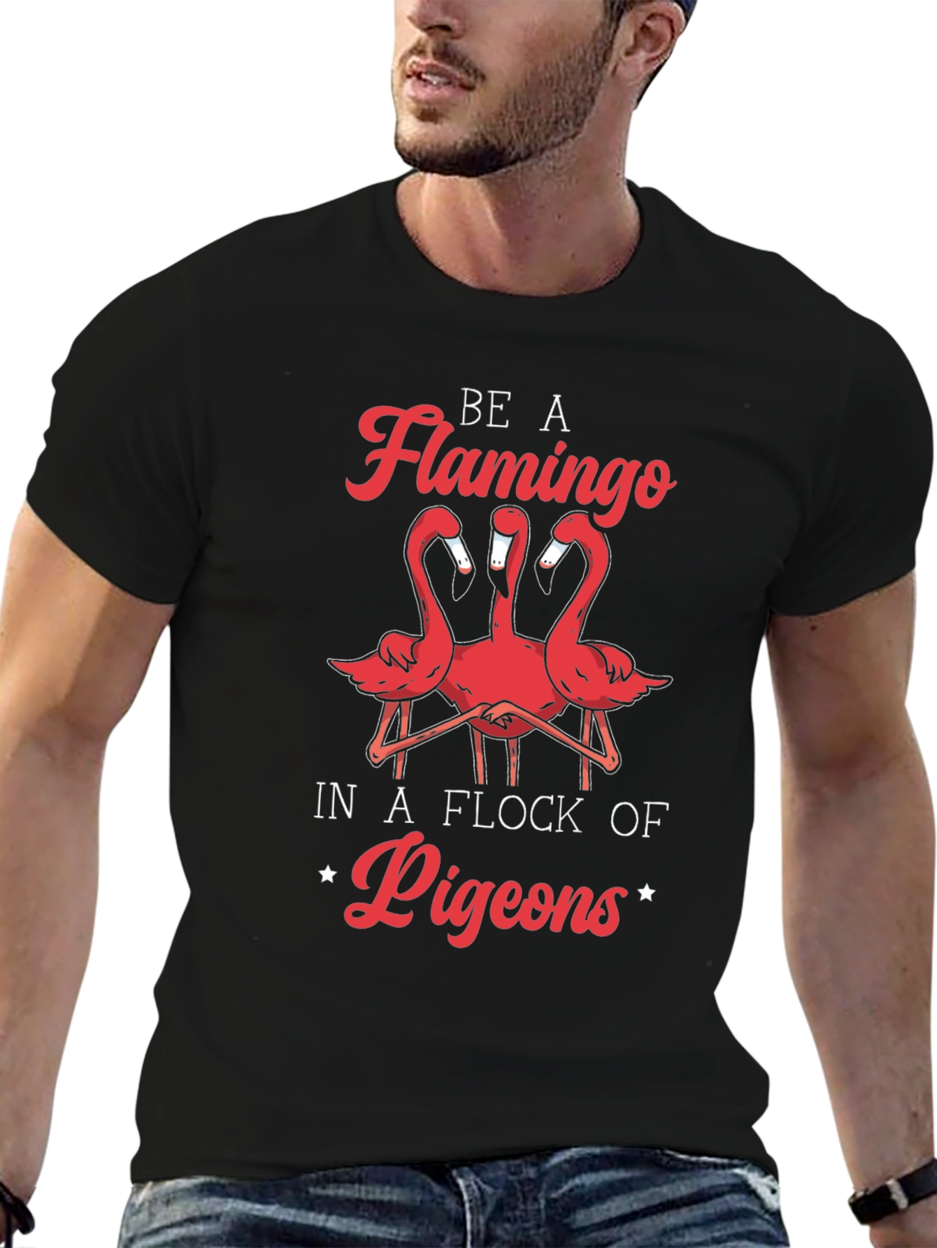 Be A Flamingo T-Shirt