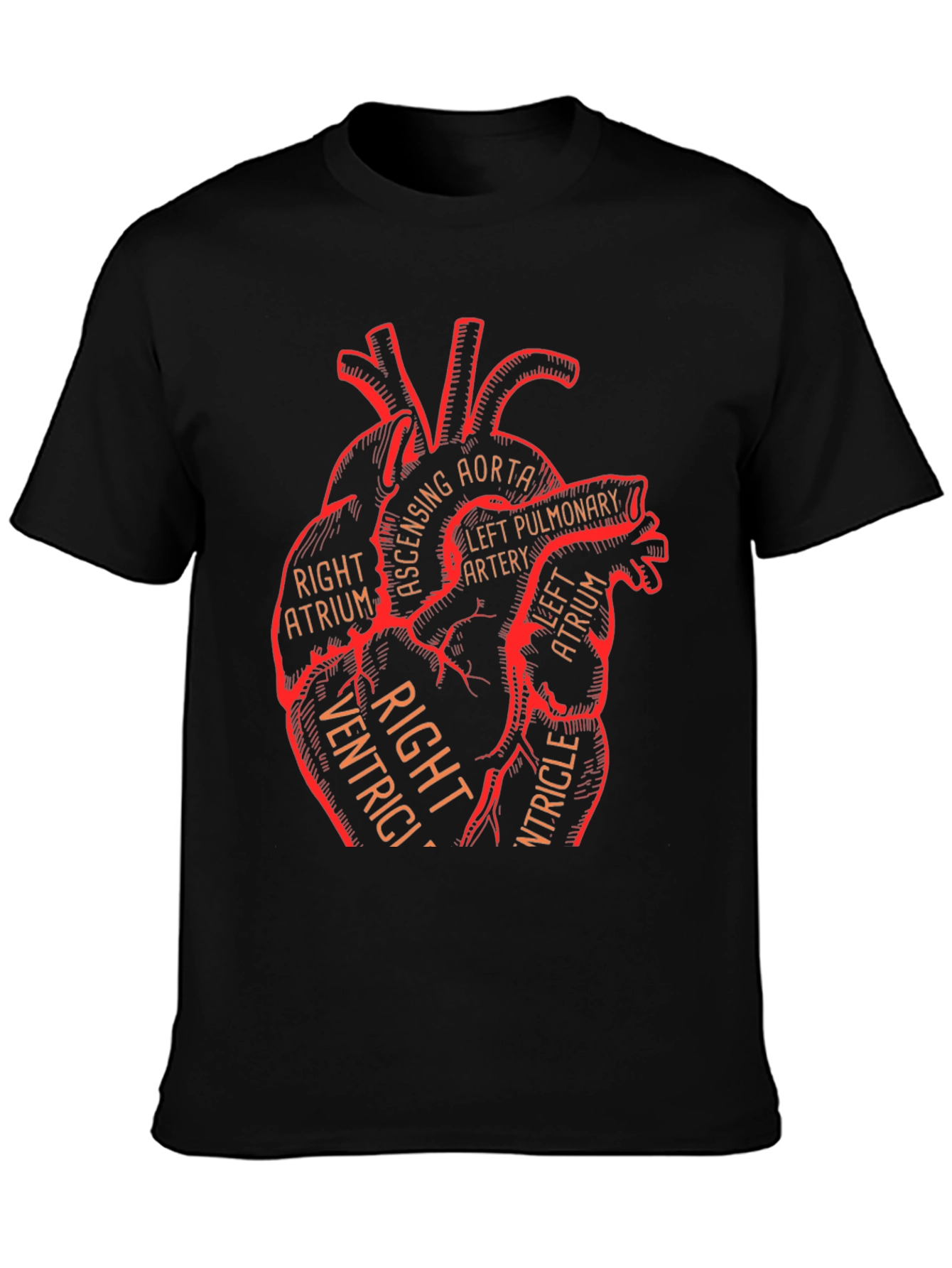 Anatomical Heart Graphic Tee - Medical Science T-Shirt