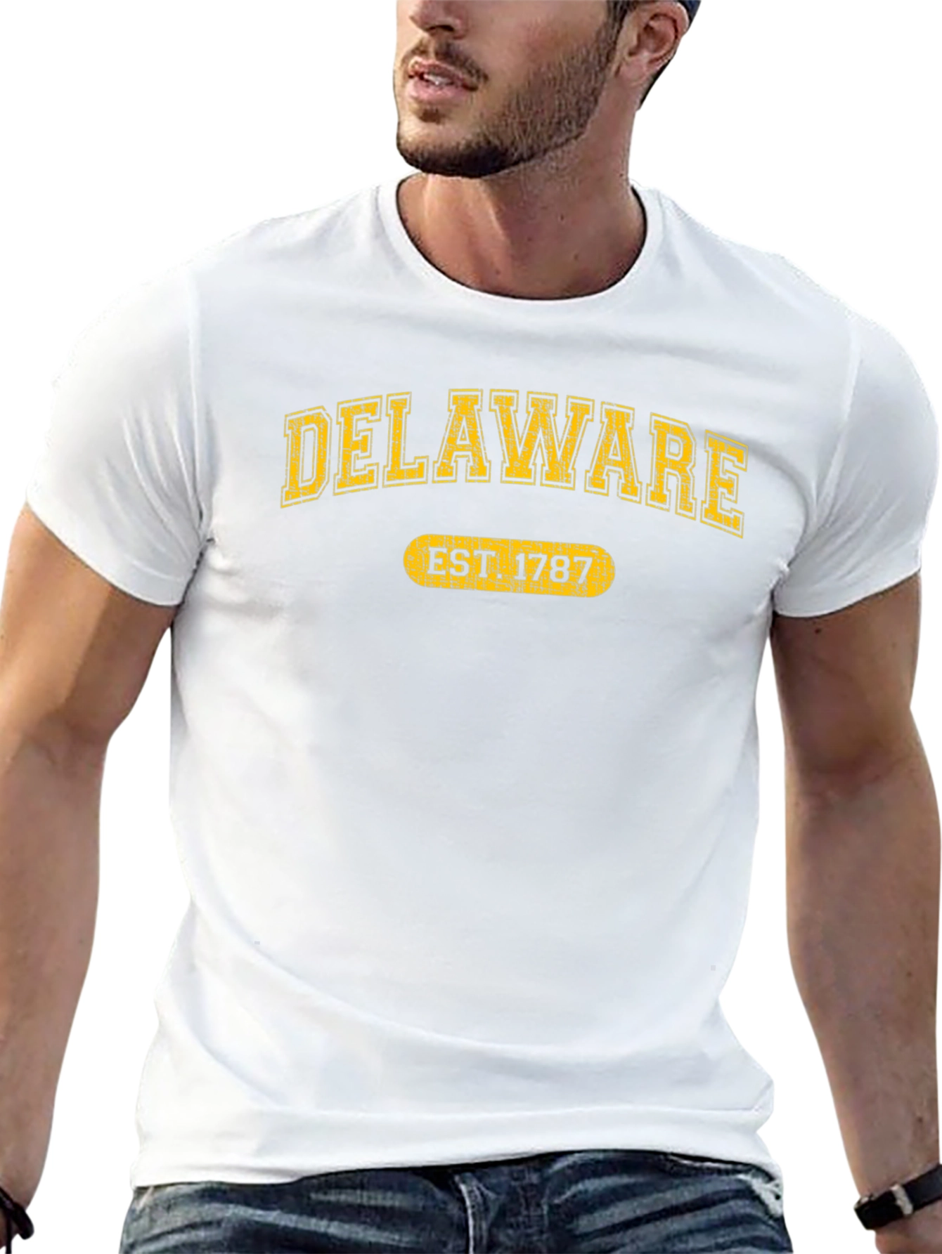 Delaware EST 1787 T-Shirt - State Pride Tee