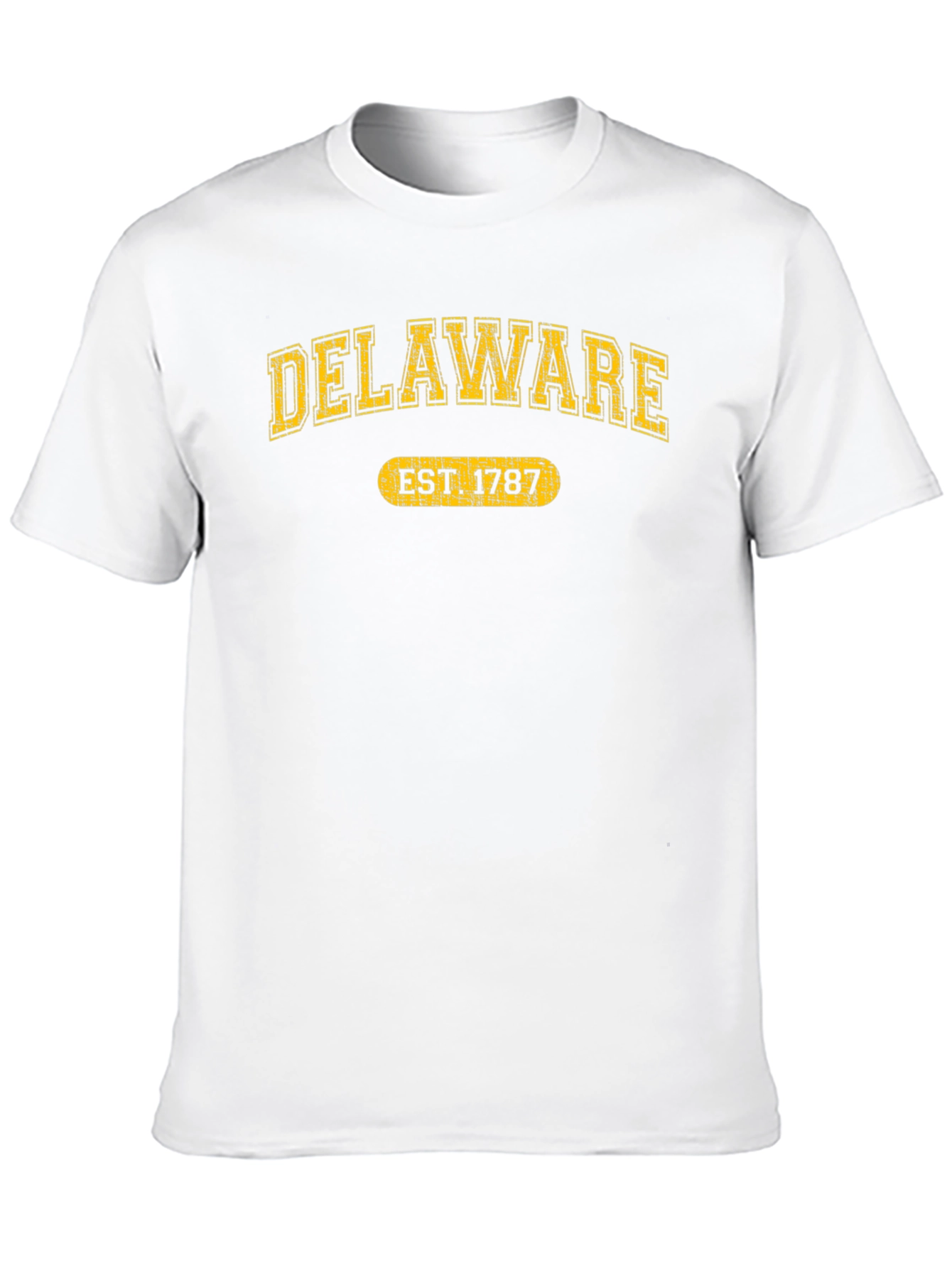 Delaware EST 1787 T-Shirt - State Pride Tee