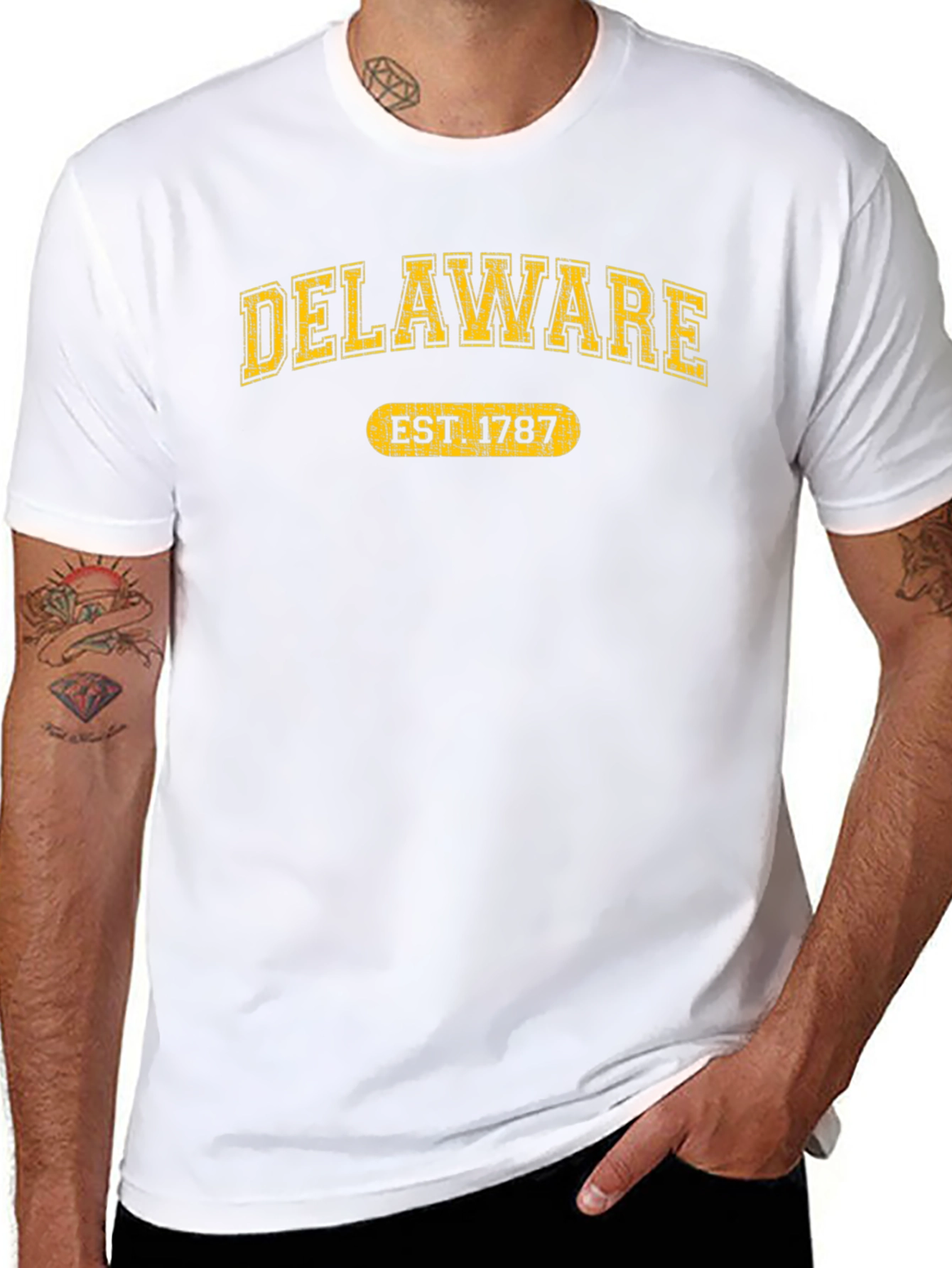 Delaware EST 1787 T-Shirt - State Pride Tee