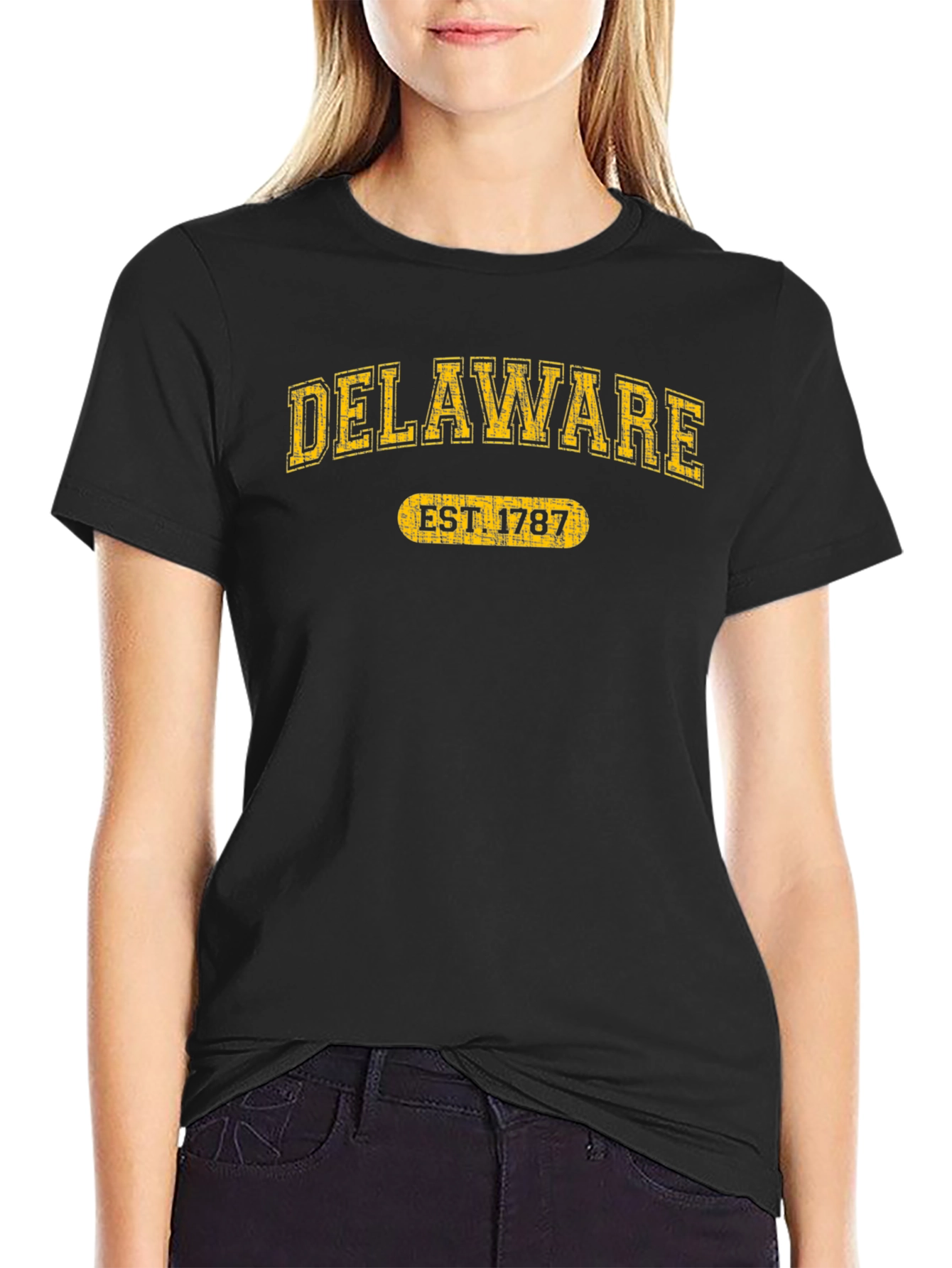 Delaware EST 1787 T-Shirt - State Pride Tee