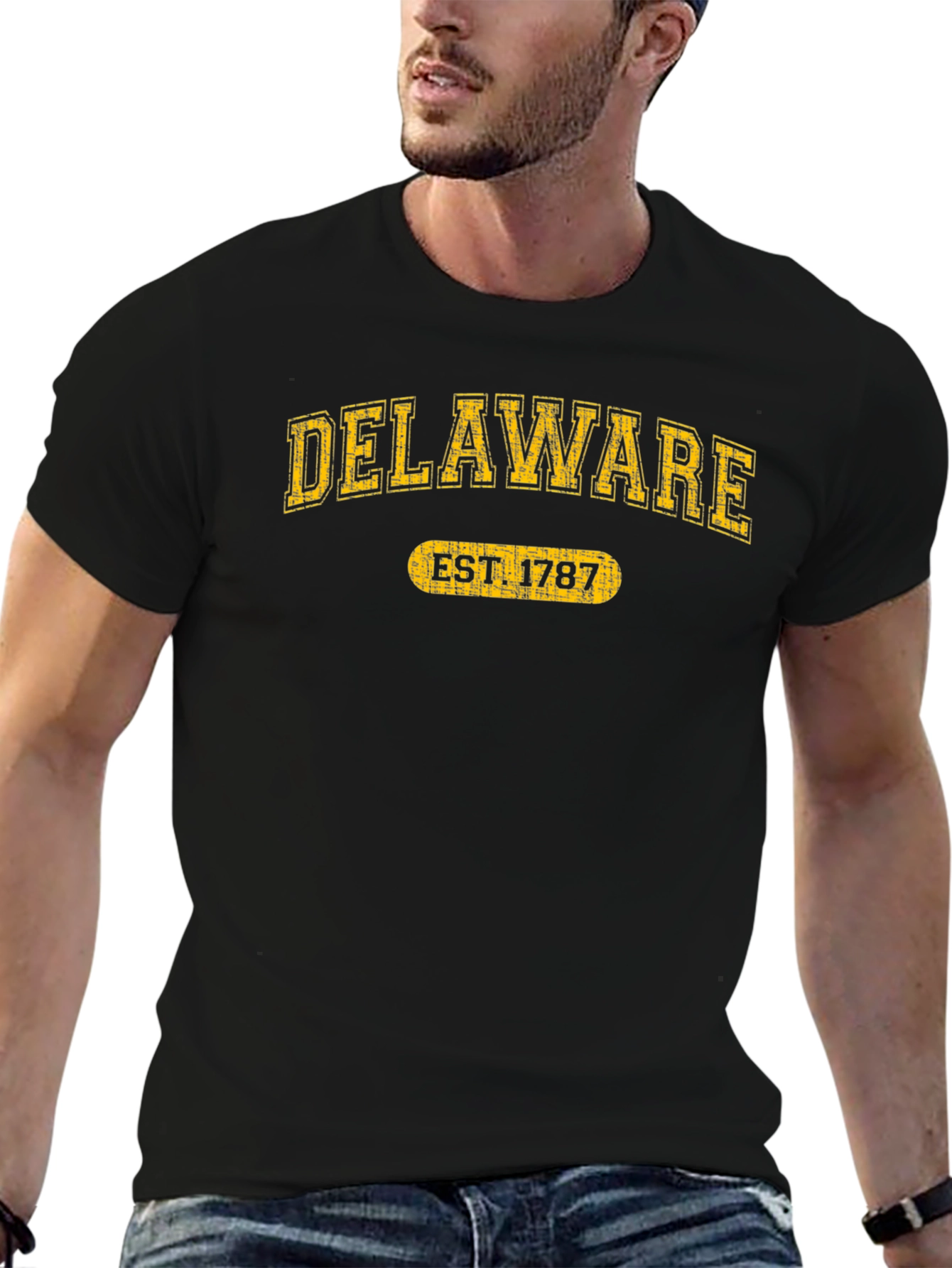 Delaware EST 1787 T-Shirt - State Pride Tee
