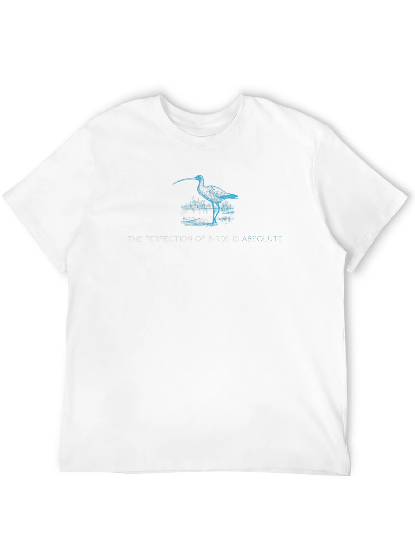 The Perfection of Birds Tee - Black