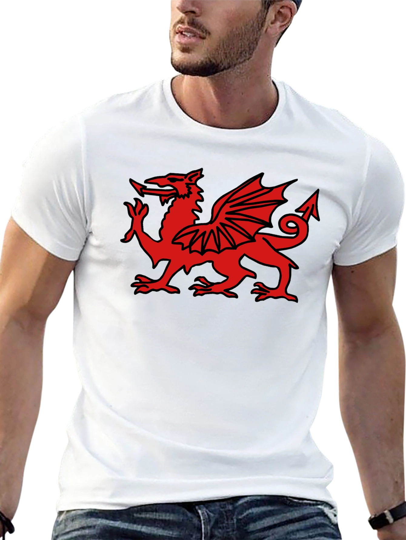 Welsh Dragon Graphic Tee - Black Cotton T-Shirt