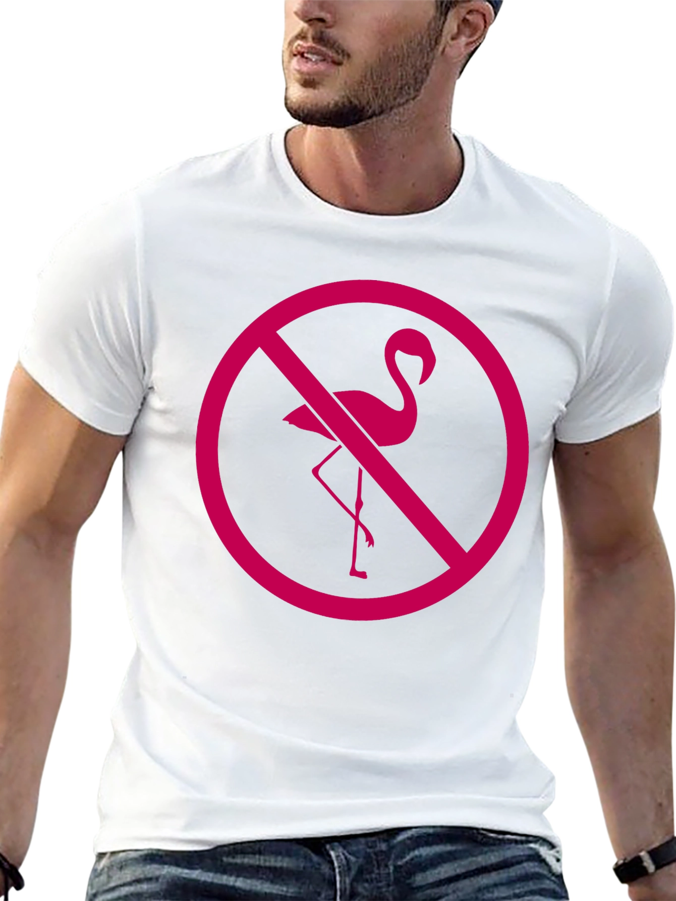 No Flamingos Allowed Black T-Shirt