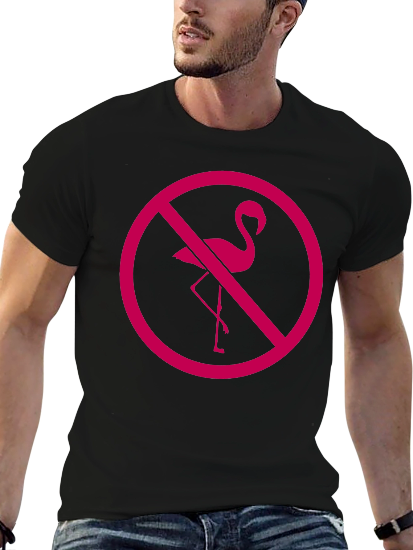 No Flamingos Allowed Black T-Shirt