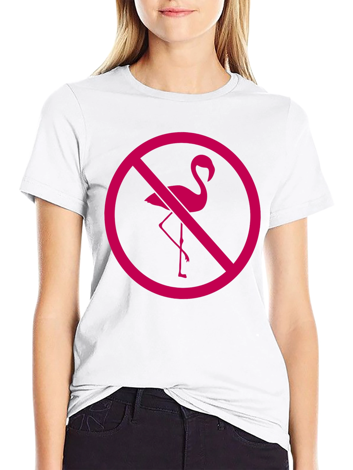 No Flamingos Allowed Black T-Shirt