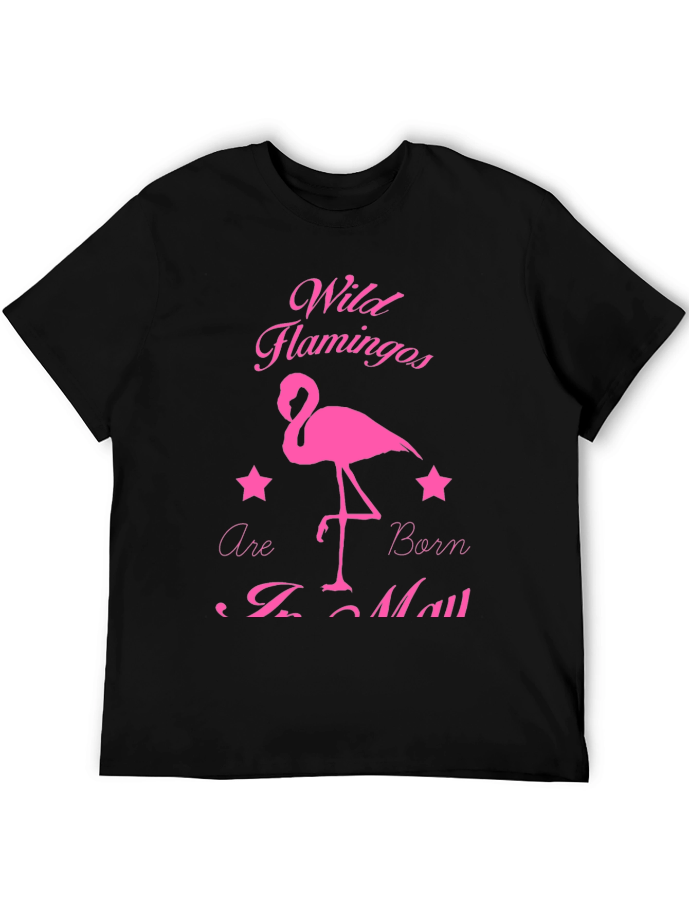 Wild Flamingos T-Shirt