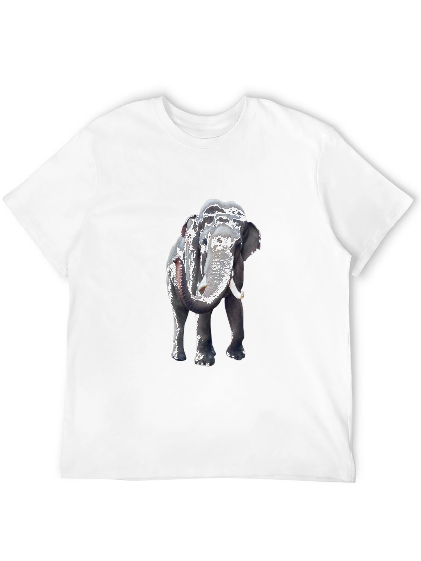 Elephant Graphic Tee - Classic Black Cotton