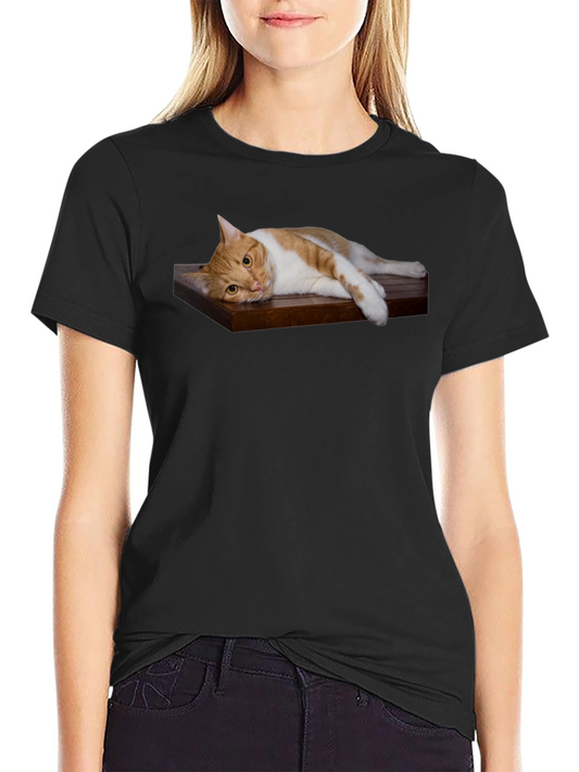 Cat on Wood Shelf Graphic Tee