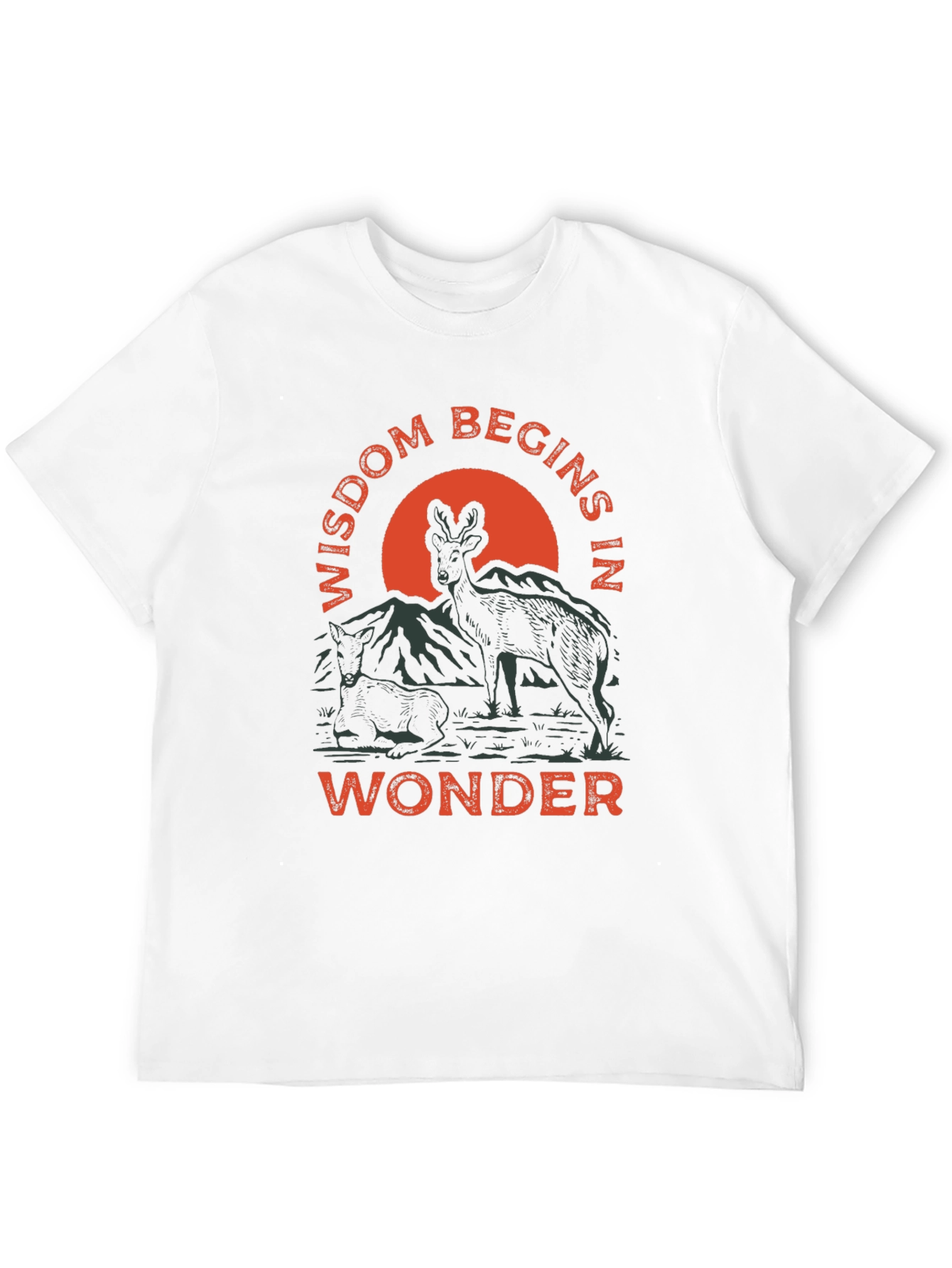 Wisdom Begins in Wonder Graphic Tee
