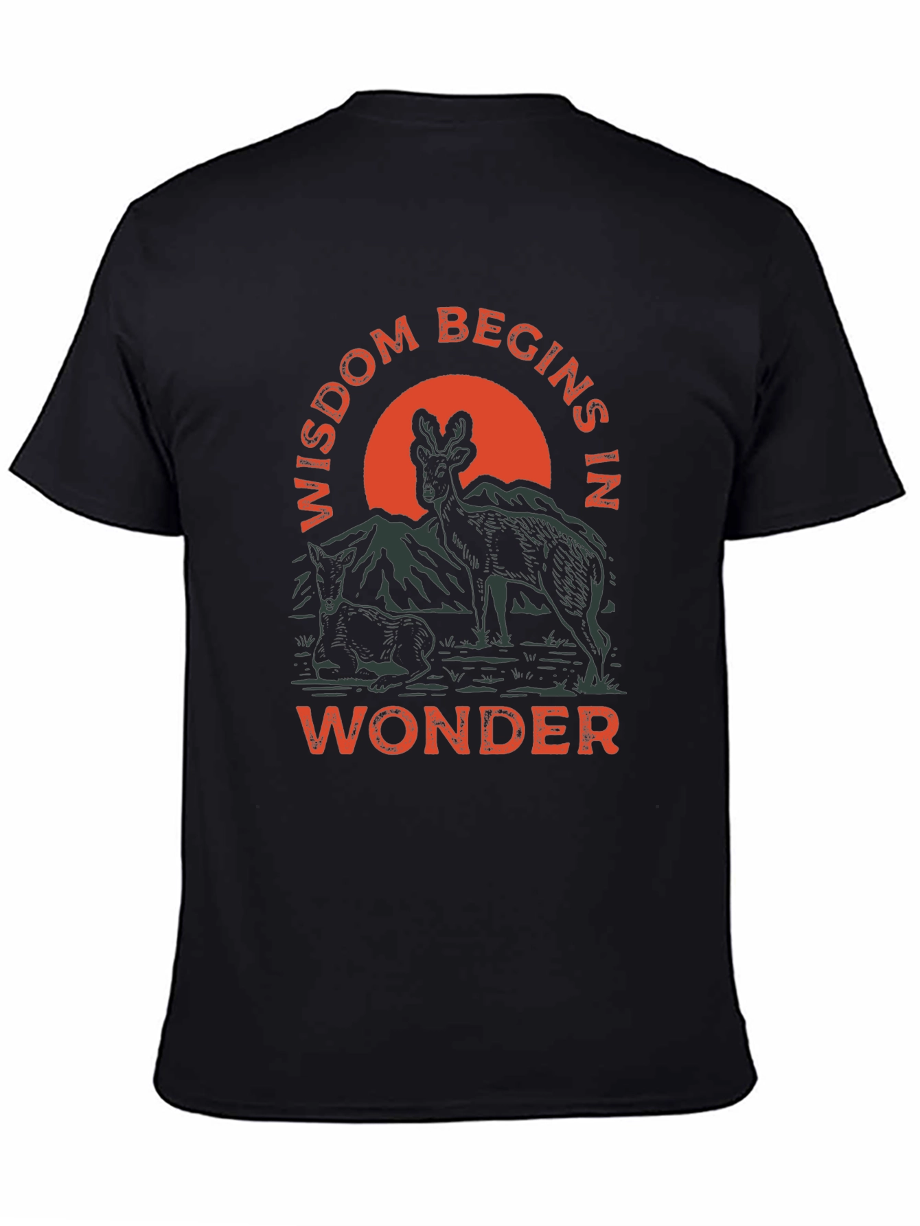Wisdom Begins in Wonder Graphic Tee