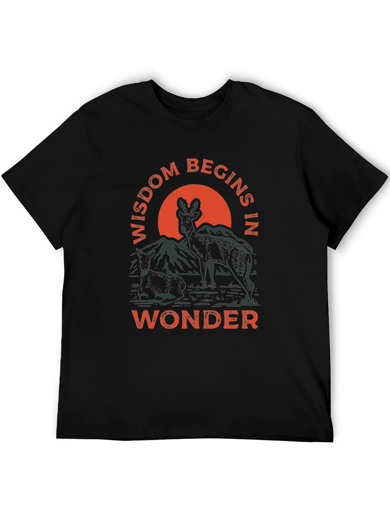 Wisdom Begins in Wonder Graphic Tee