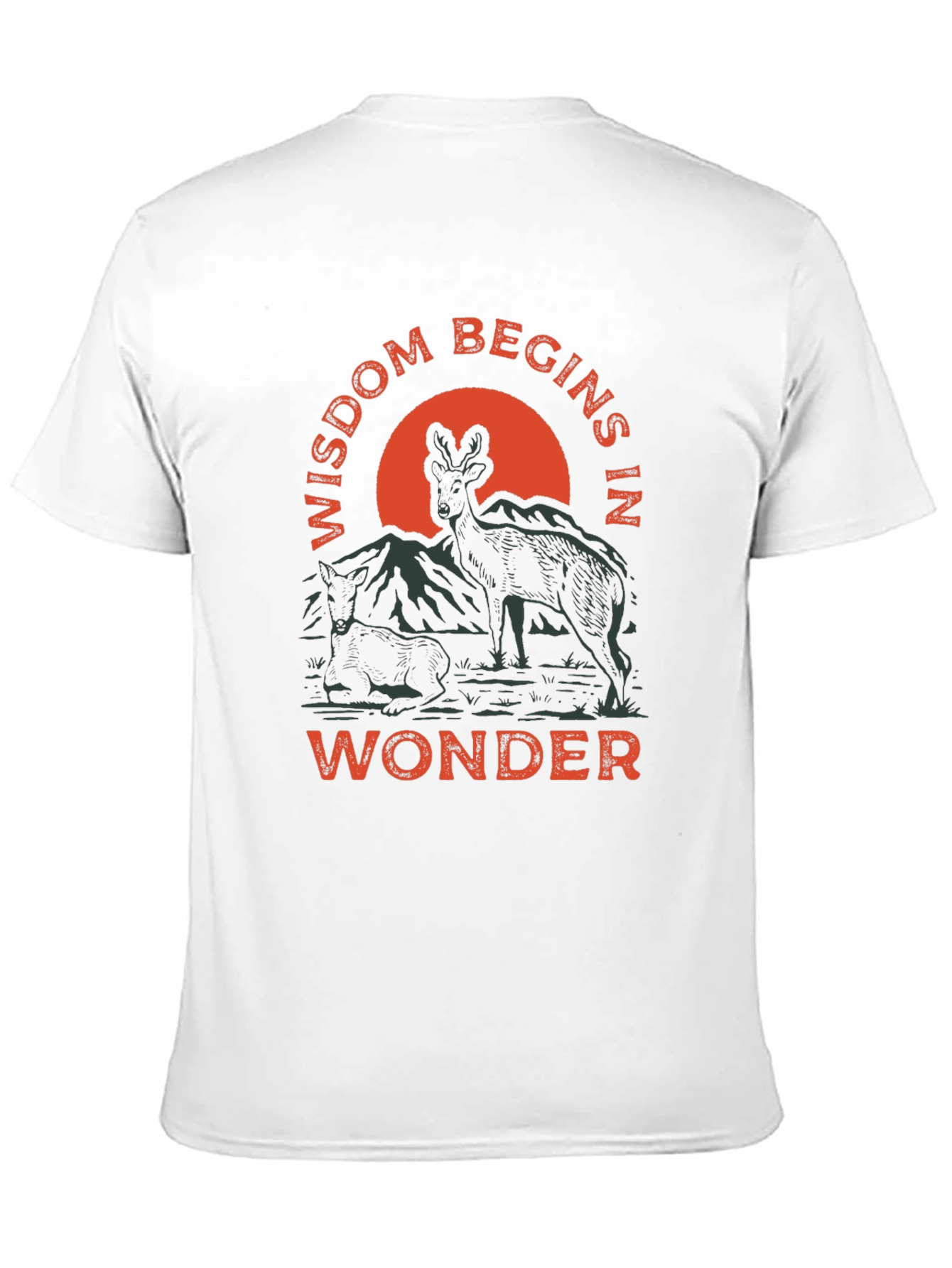 Wisdom Begins in Wonder Graphic Tee