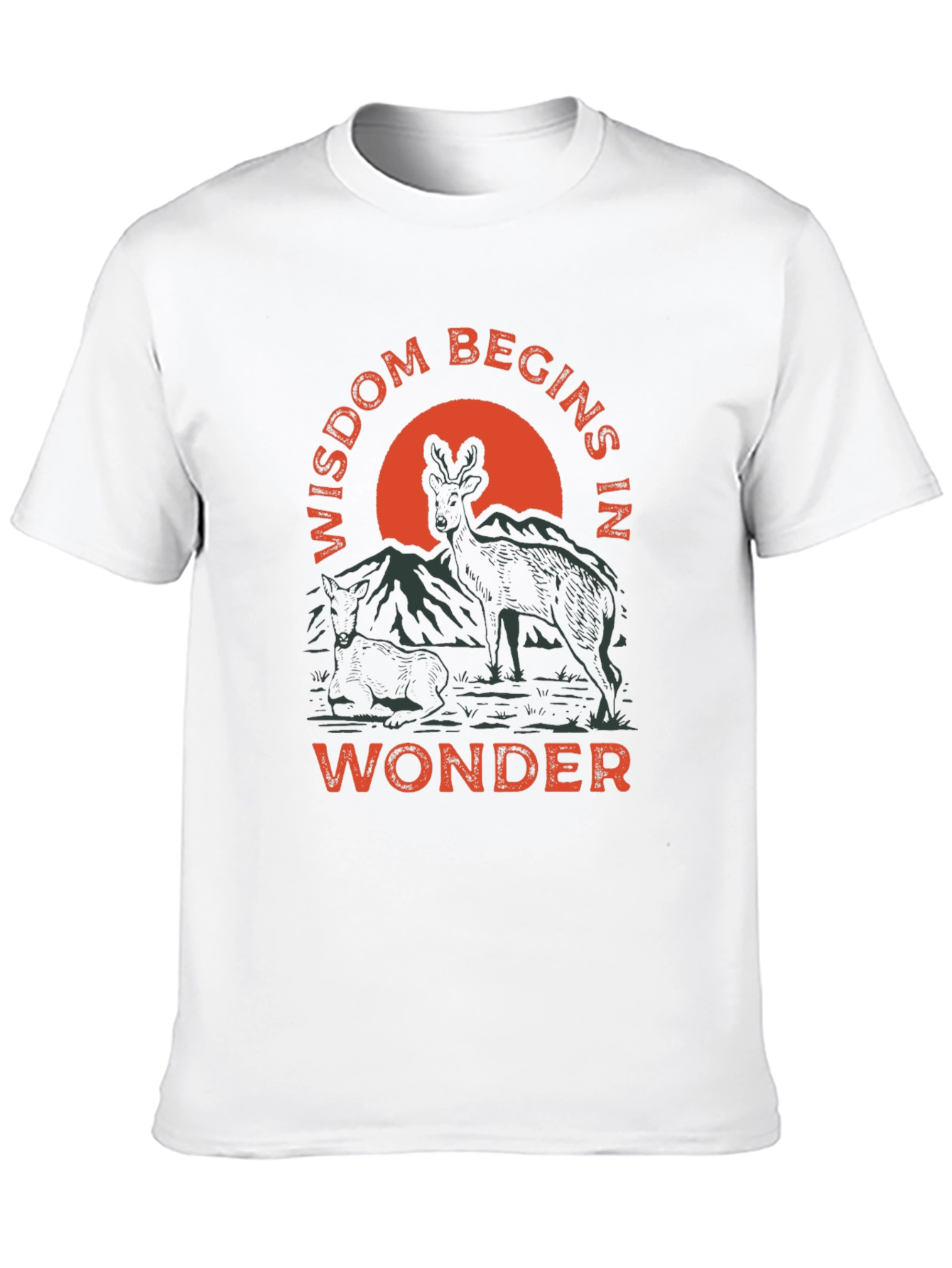 Wisdom Begins in Wonder Graphic Tee