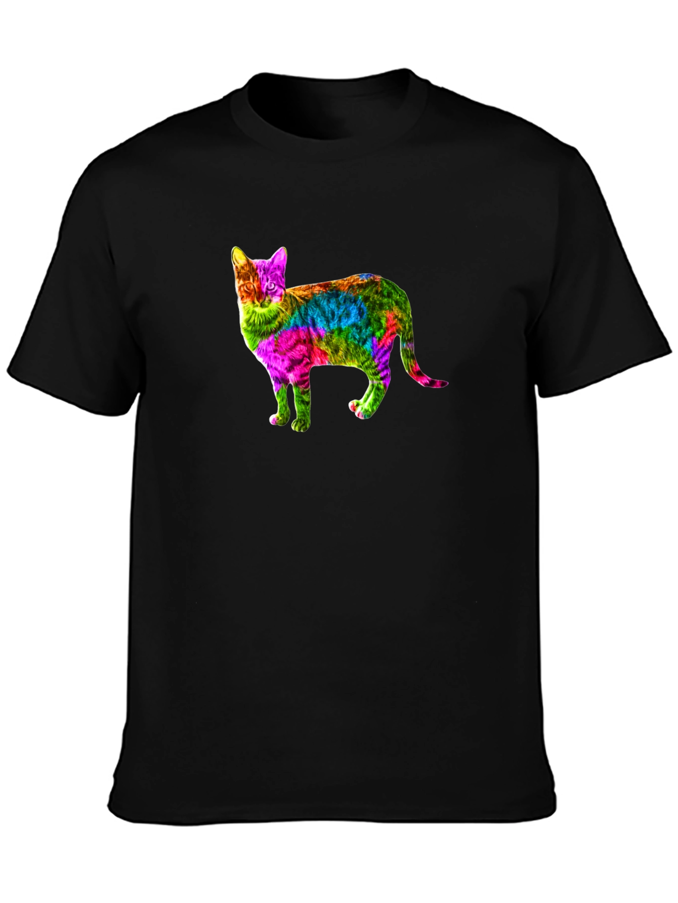 Rainbow Cat Graphic Print Black T-Shirt