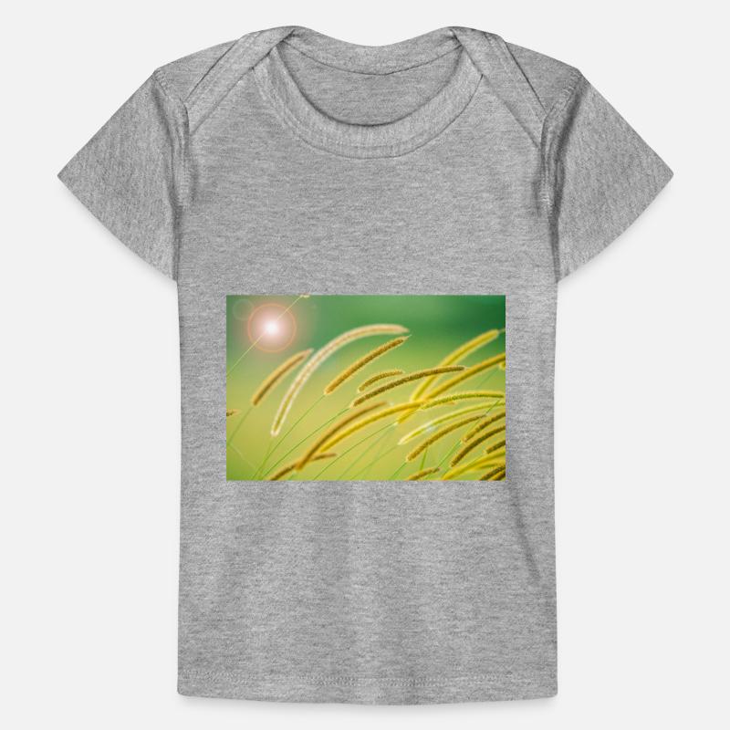 African Bristle Grass