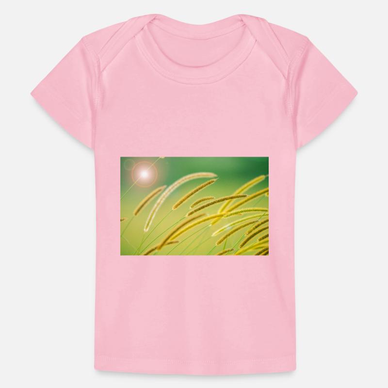 African Bristle Grass