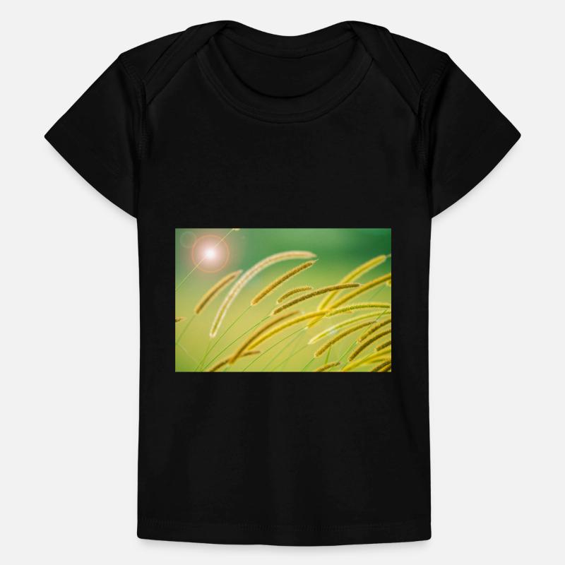 African Bristle Grass