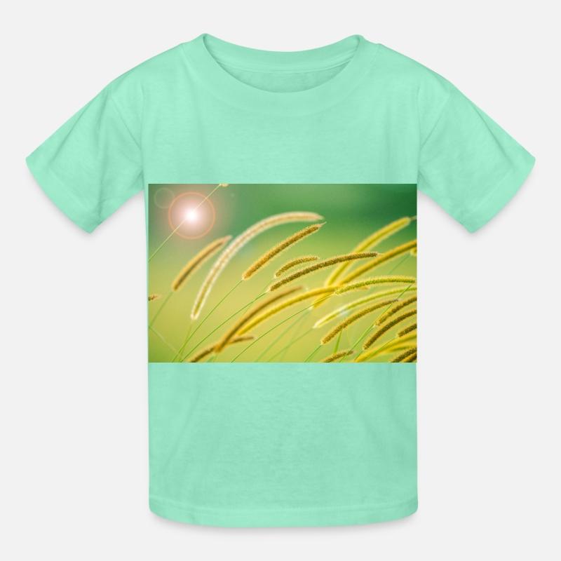 African Bristle Grass