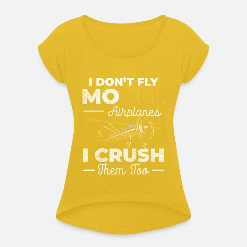 Airplane Model Flying Test Pilot