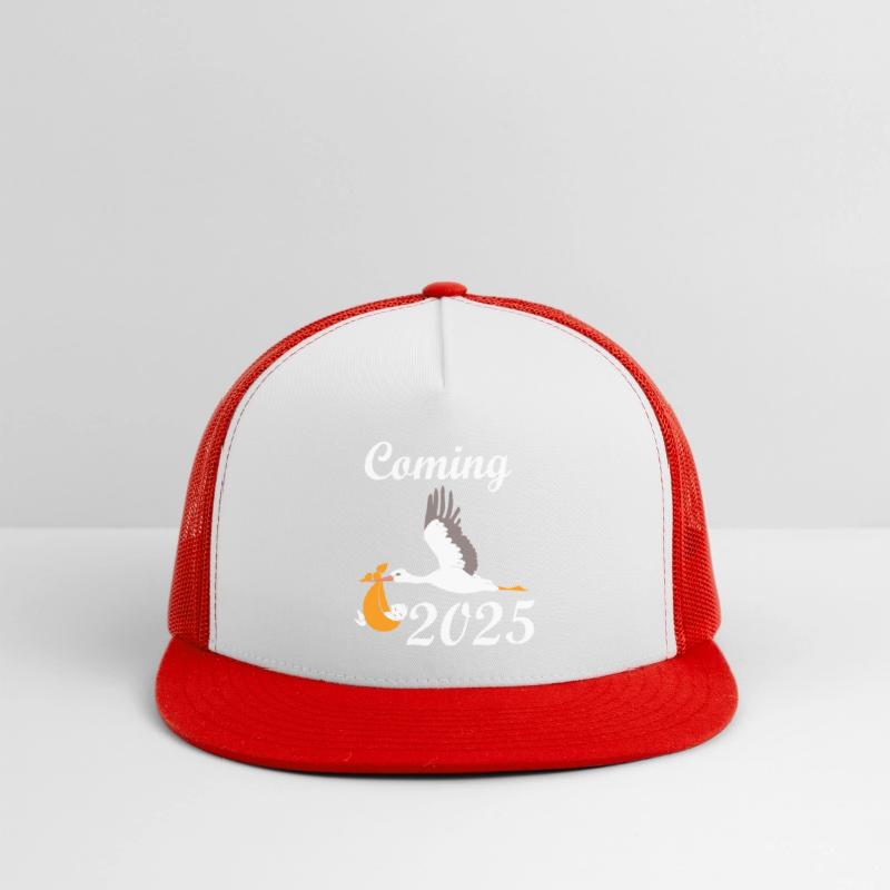 Baby Coming In 2025, Stork Brings The Baby In 2025