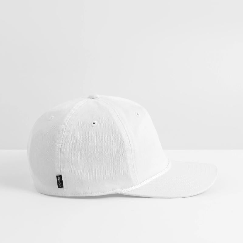 Cactus Sharp Spines Desert Plant Cool Cacti Design