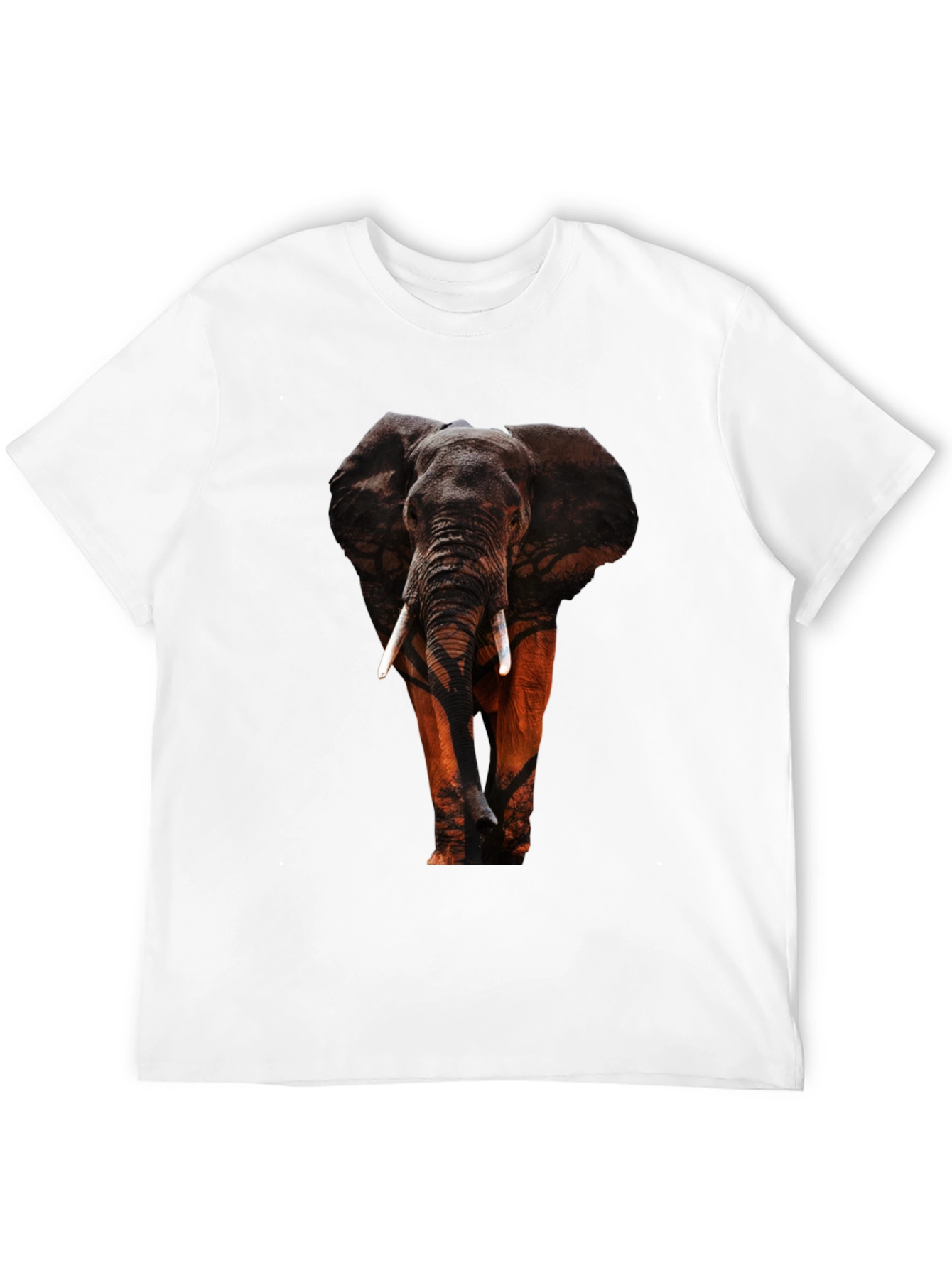 Black Elephant Graphic Tee - Wildlife Design