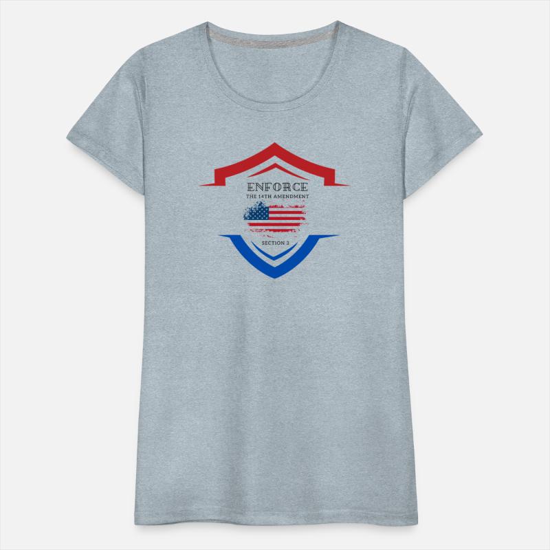 enforce the 14th amendment section 3