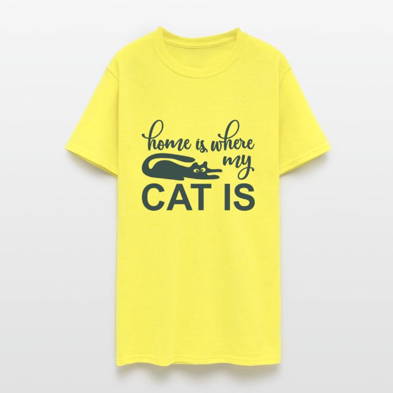 Home with cat