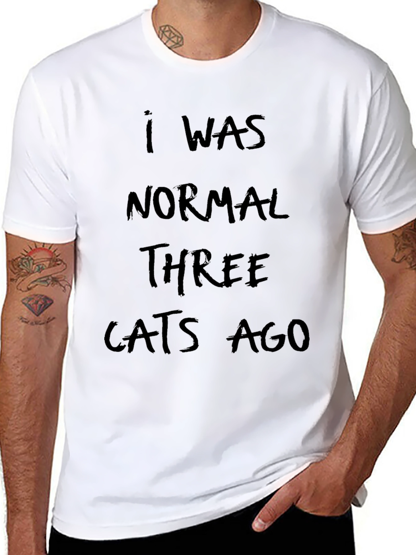 I Was Normal Three Cats Ago Black T-Shirt