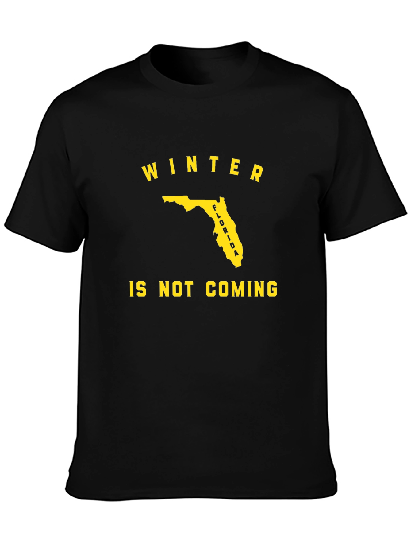 Florida Winter Is Not Coming Black T-Shirt