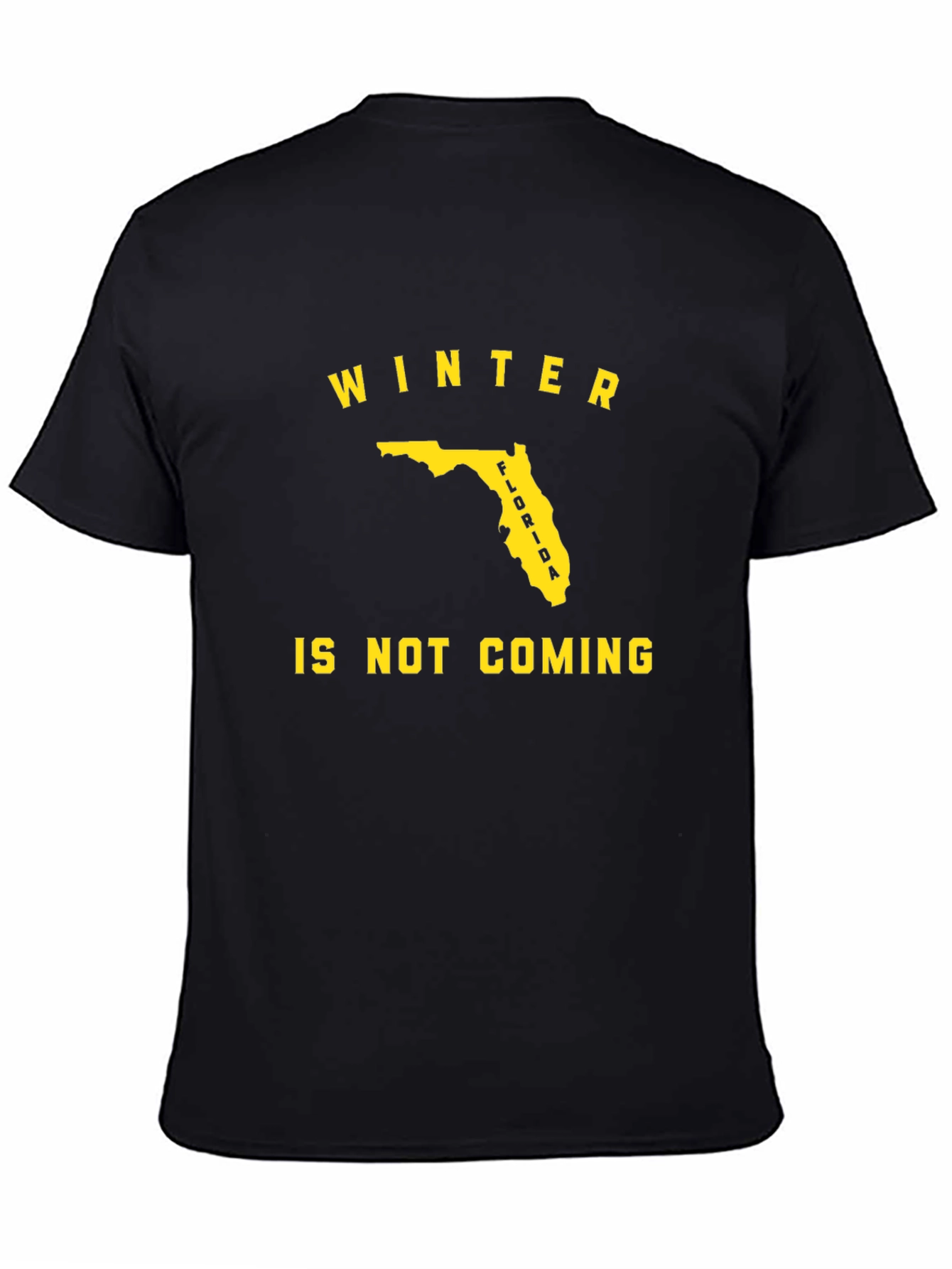 Florida Winter Is Not Coming Black T-Shirt
