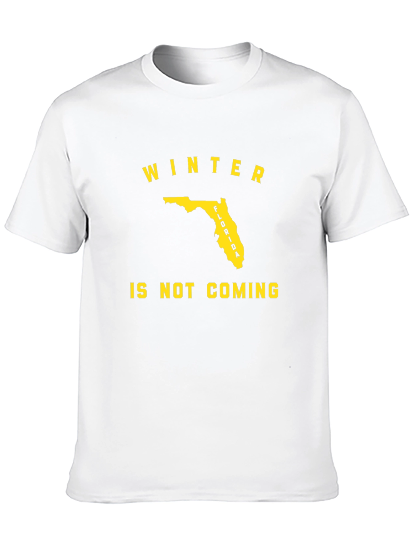 Florida Winter Is Not Coming Black T-Shirt