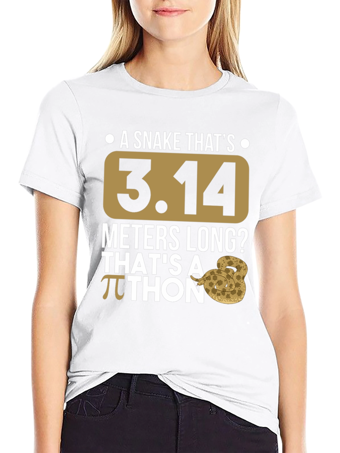 Pi Day Python T-Shirt - Funny Snake Graphic Tee