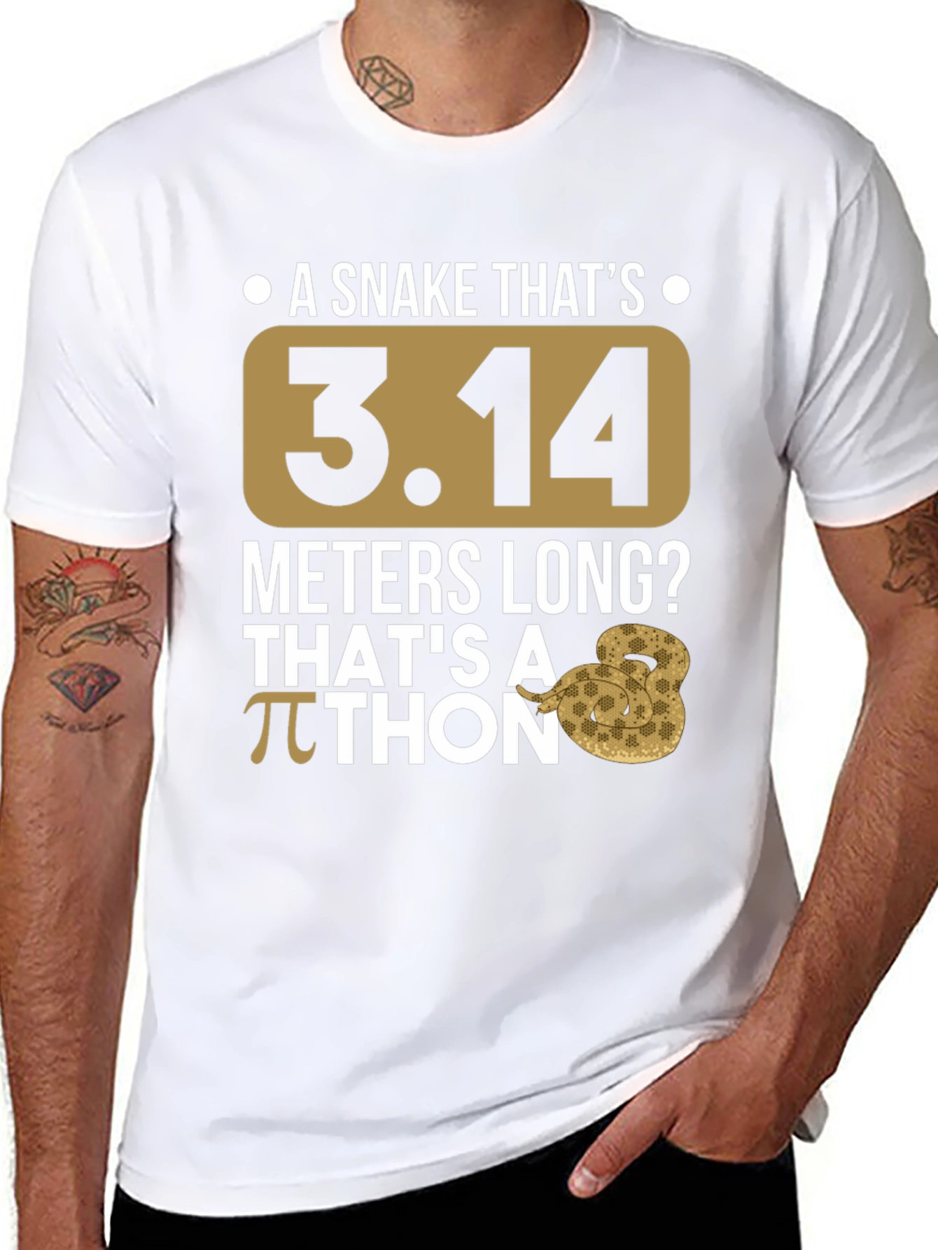 Pi Day Python T-Shirt - Funny Snake Graphic Tee