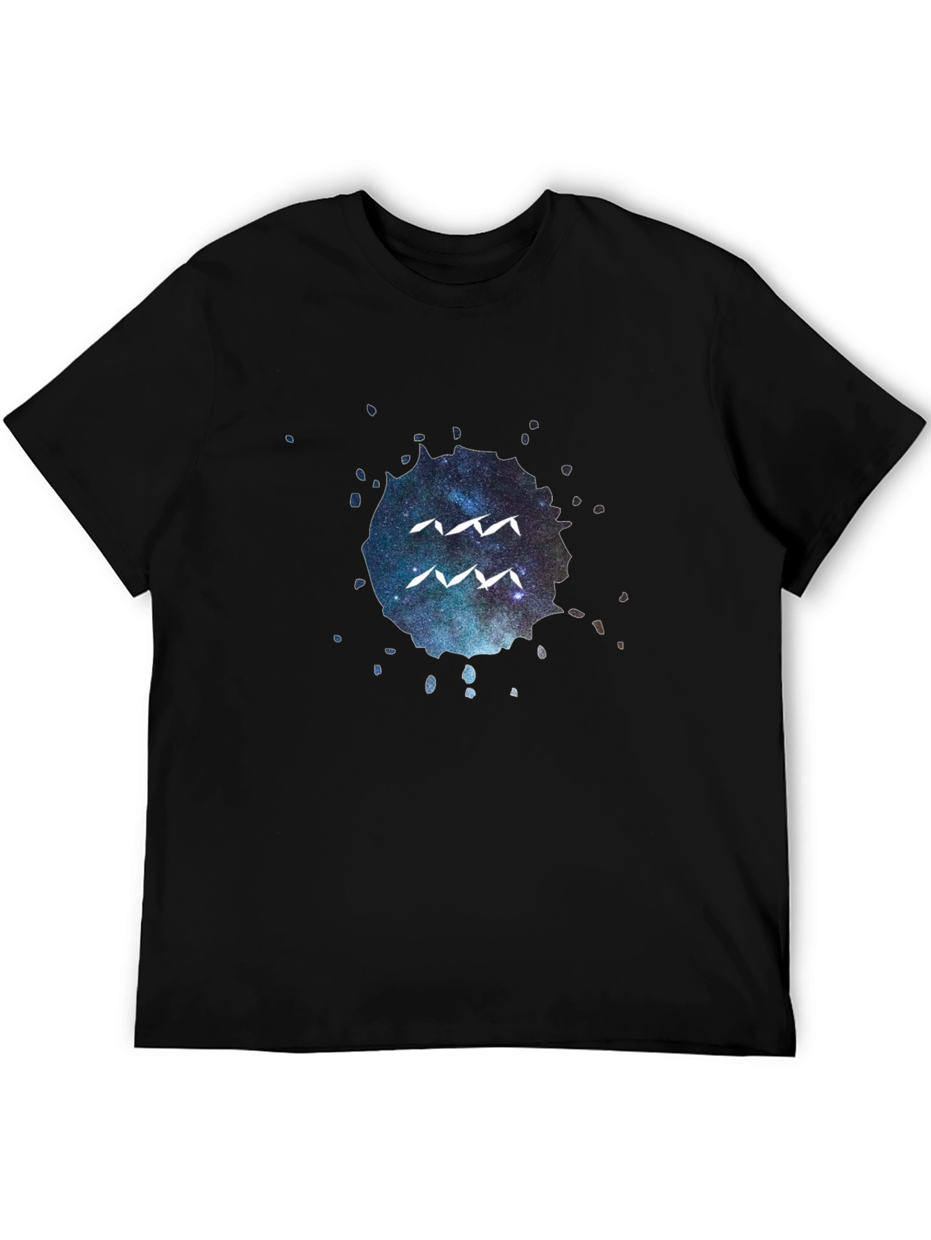 Aquarius Zodiac Black T-Shirt