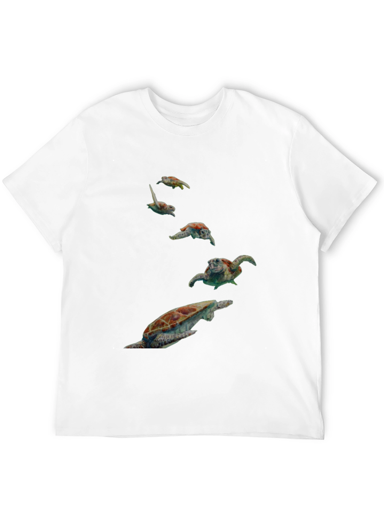 Turtle Graphic Black T-Shirt