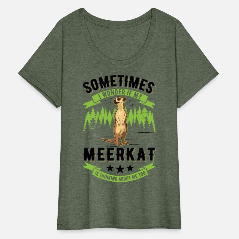 Meerkat Surikat