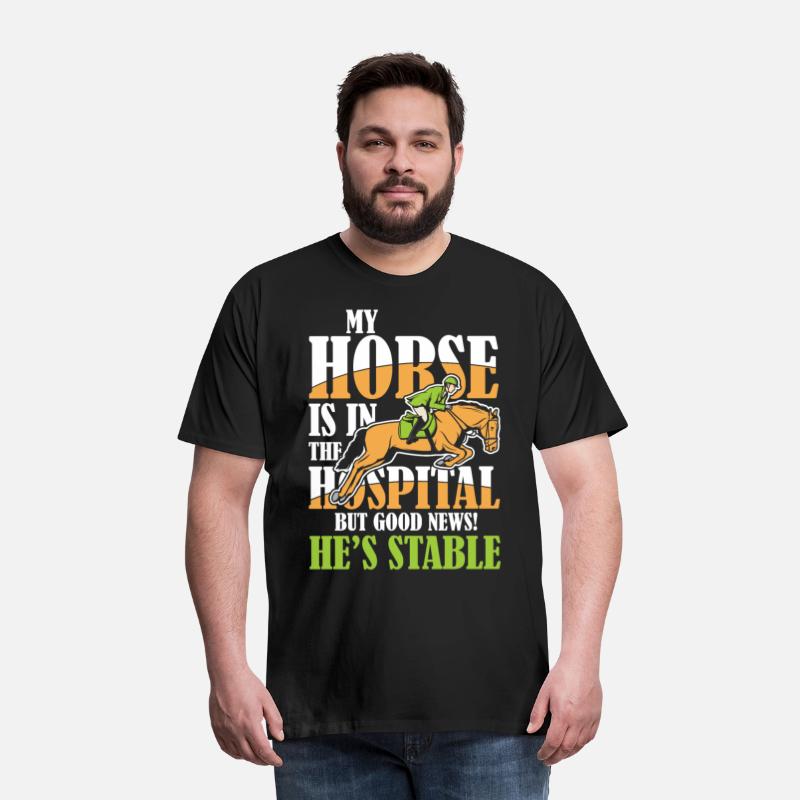 My Horse Is In The Hospital But Good News Stable