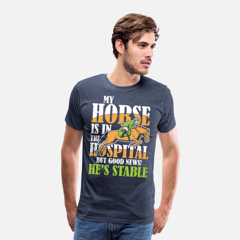 My Horse Is In The Hospital But Good News Stable