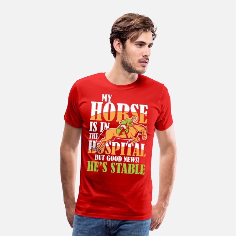 My Horse Is In The Hospital But Good News Stable