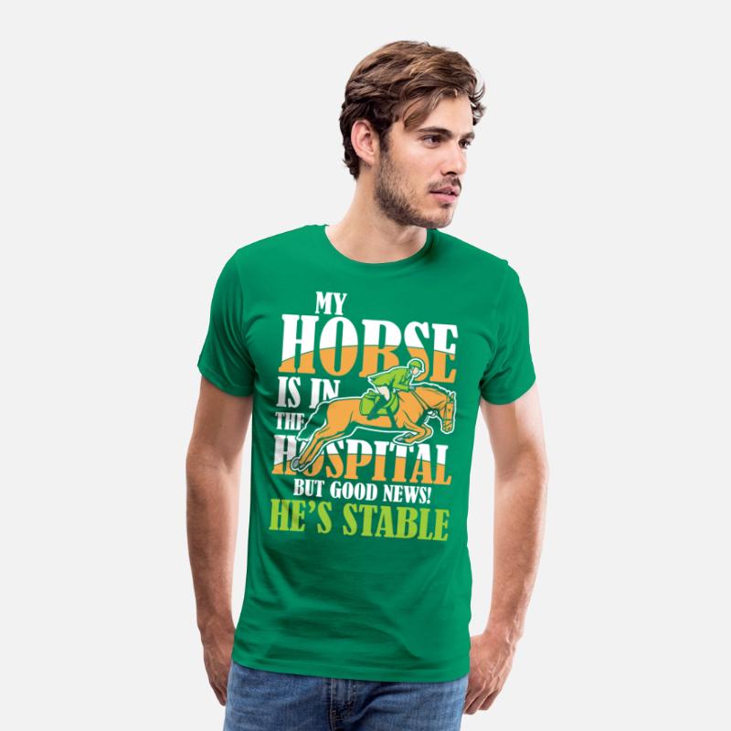 My Horse Is In The Hospital But Good News Stable
