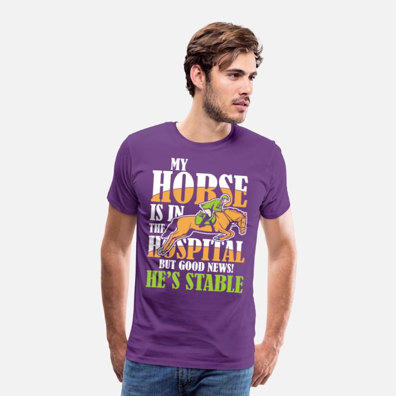 My Horse Is In The Hospital But Good News Stable