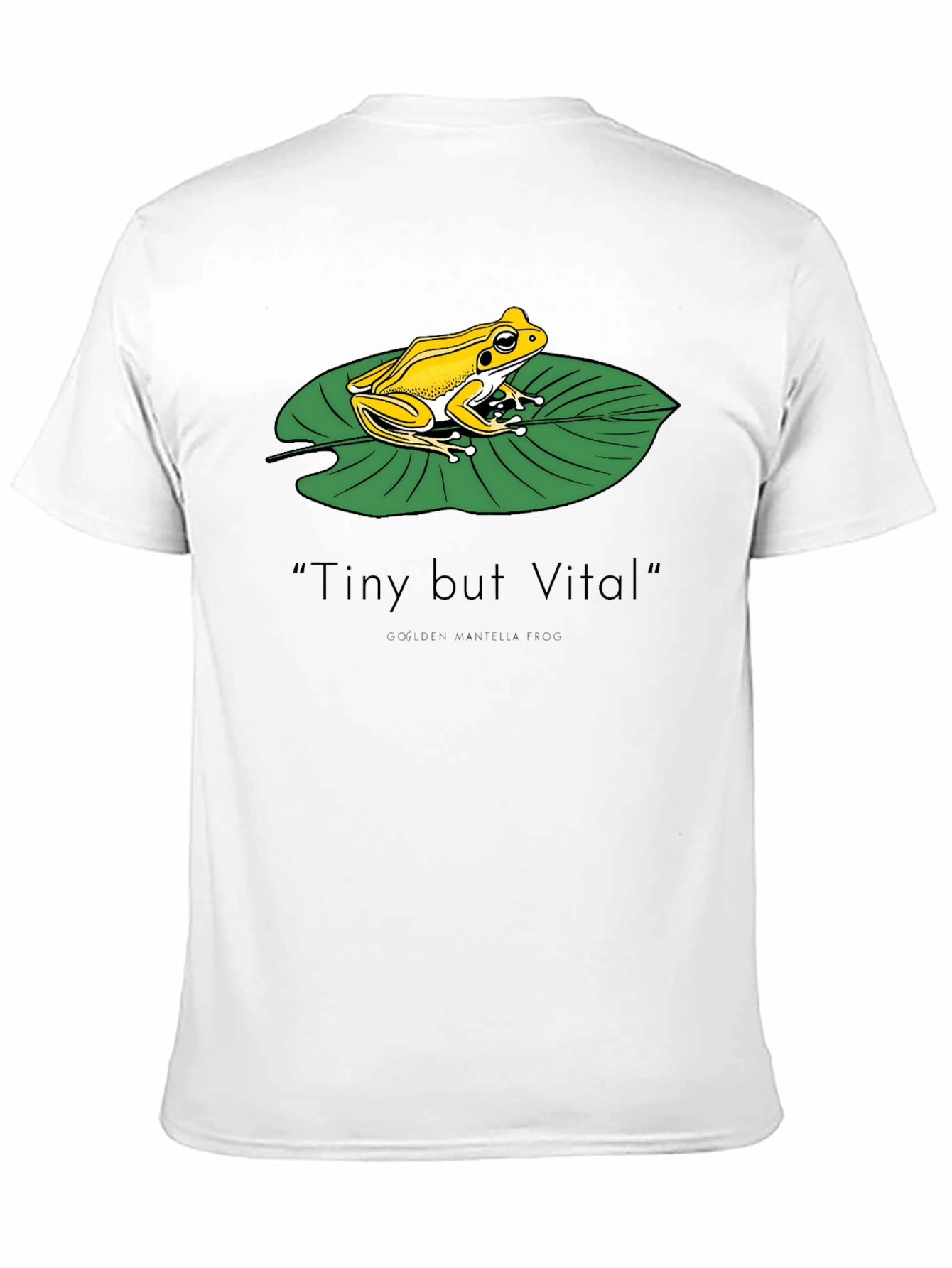 Frog on Lily Pad Graphic Tee