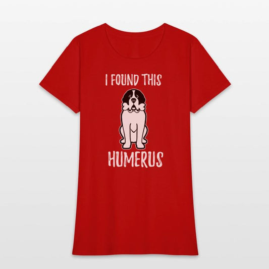 St Bernard Dog Pet Owner Saint Bernard